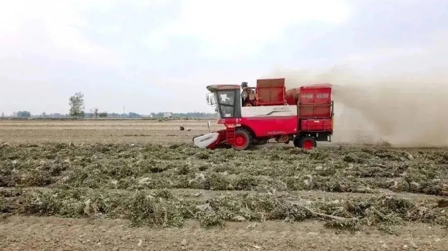 河南驻马店刘利平：缘自新疆-2，现在我又买了中联收获