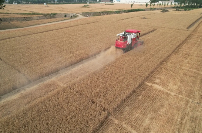 河北保定张师傅：中联收获品质值得信赖