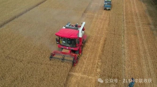 湖北枣阳刘师傅：高效、可靠、服务好，收获机我只选中联收获(图2)