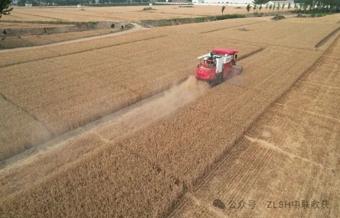 湖北枣阳刘师傅：高效、可靠、服务好，收获机我只选中联收获(图3)
