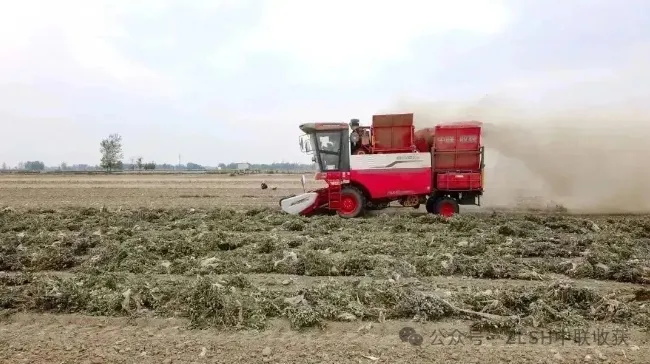 河南南阳楚师傅:明年换新车,我还选中联收获(图3) 河南南阳楚师傅:明年换新车,我还选中联收获(图3)